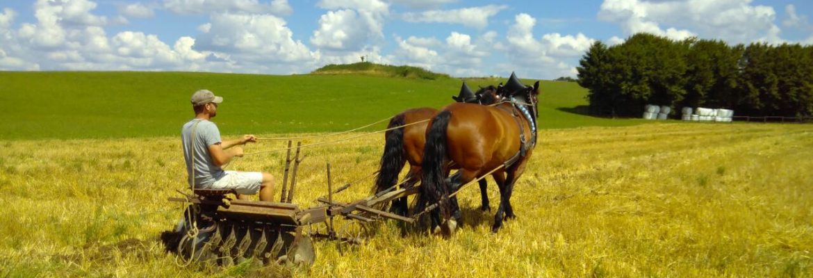 Ackerbau mit Pferden